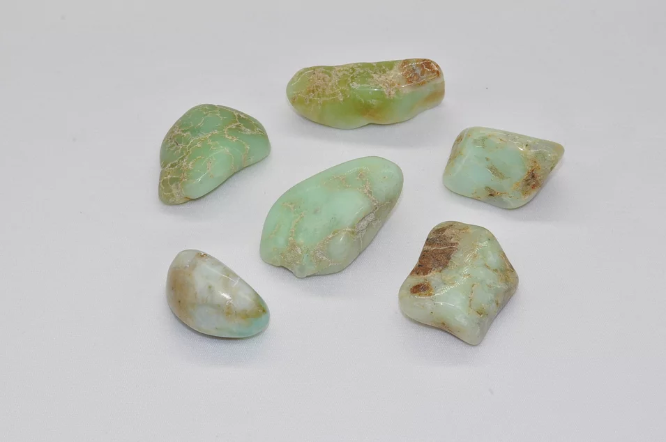 CHRYZOPRAS “TS