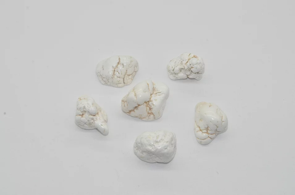 MAGNEZIT - TS