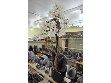 STROM ŠŤASTIA KRIŠTÁĽ