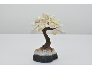 STROMČEK ŠŤASTIA - AMAZONIT