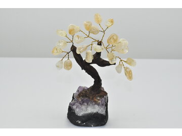 STROMČEK ŠŤASTIA - CITRÍN