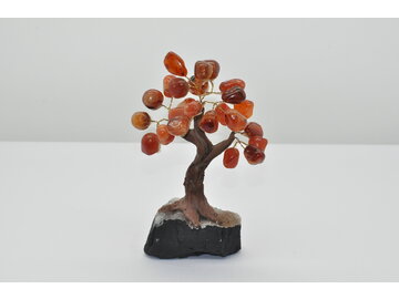 STROMČEK ŠŤASTIA - KARNEOL