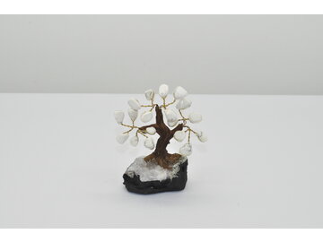 STROMČEK ŠŤASTIA - MAGNEZIT