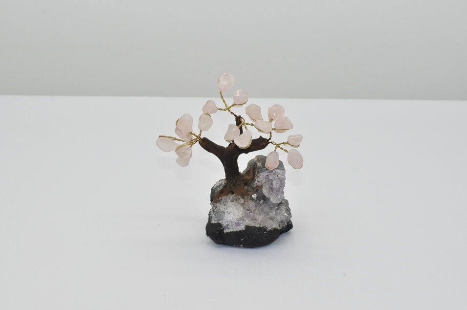 STROMČEK ŠŤASTIA - RUŽENIN