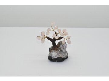 STROMČEK ŠŤASTIA - RUŽENIN