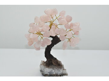 STROMČEK ŠŤASTIA - RUŽENIN