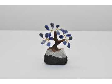 STROMČEK ŠŤASTIA - SODALIT