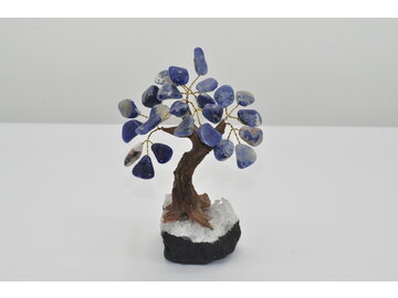 STROMČEK ŠŤASTIA - SODALIT