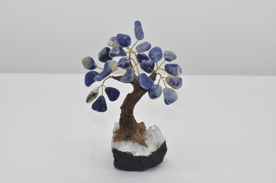 STROMČEK ŠŤASTIA - SODALIT