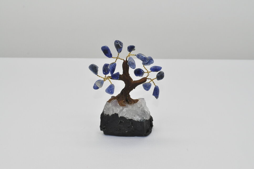 STROMČEK ŠŤASTIA - SODALIT