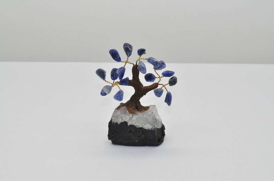 STROMČEK ŠŤASTIA - SODALIT