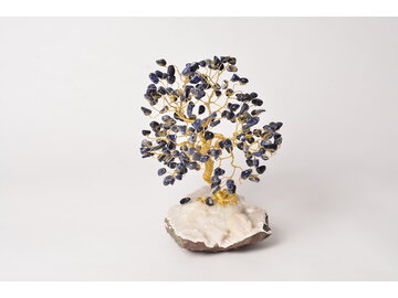 STROMČEK ŠŤASTIA - SODALIT